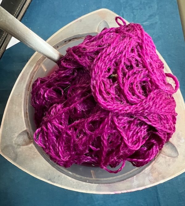 Tips For Pokeberry Dyeing on Wool - Botanical Colors