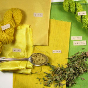Video From Live FEEDBACK FRIDAY: Making Green With Natural Dyes - Botanical  Colors
