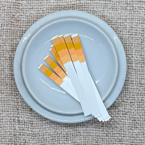 unused ph strips on a white ceramic dish