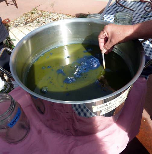 The Life of an Indigo Vat  Natural Dye Workshop with Michel