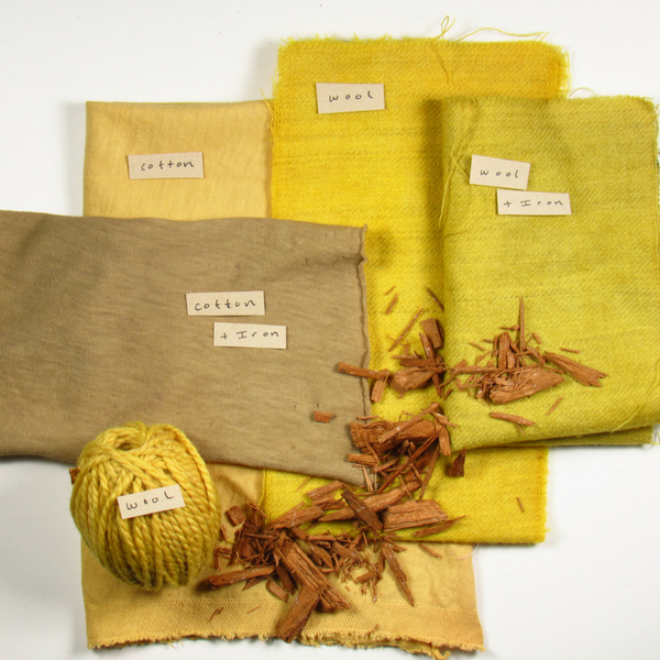 Experimenting with Natural Dyes - A Beautiful Mess