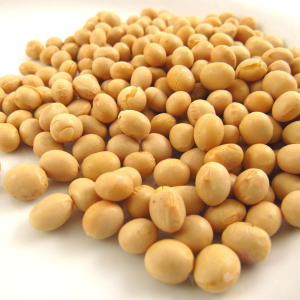 Organic Soybeans