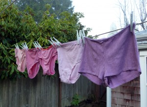 Power panties clothesline