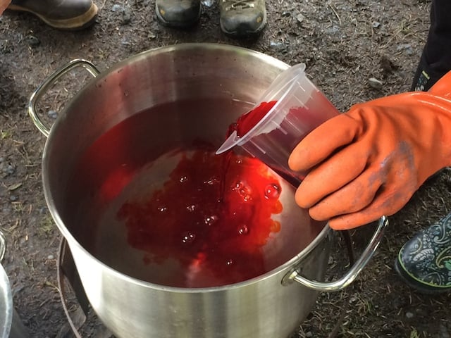pouring a red liquid from a clear plastic beaker into a pot of water