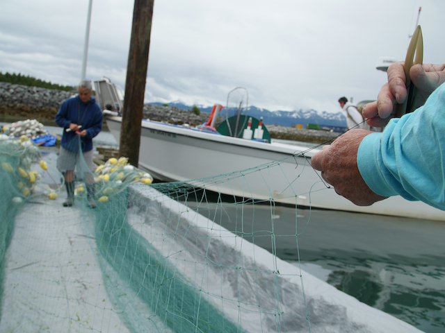 Cordova Harbor, AK