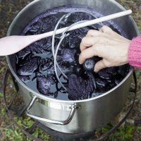 A hand putting a thermometer into a dyebath of purple liquid, full of yarn