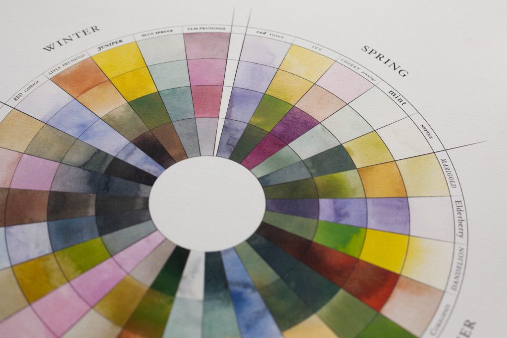 The Seasonal Color Wheel by Sasha Duerr - Botanical Colors