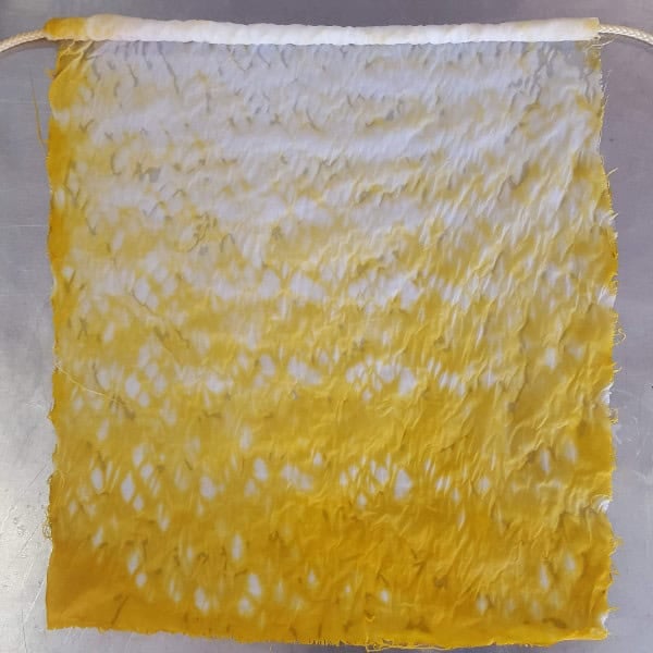 Marigold Mix - Image 3