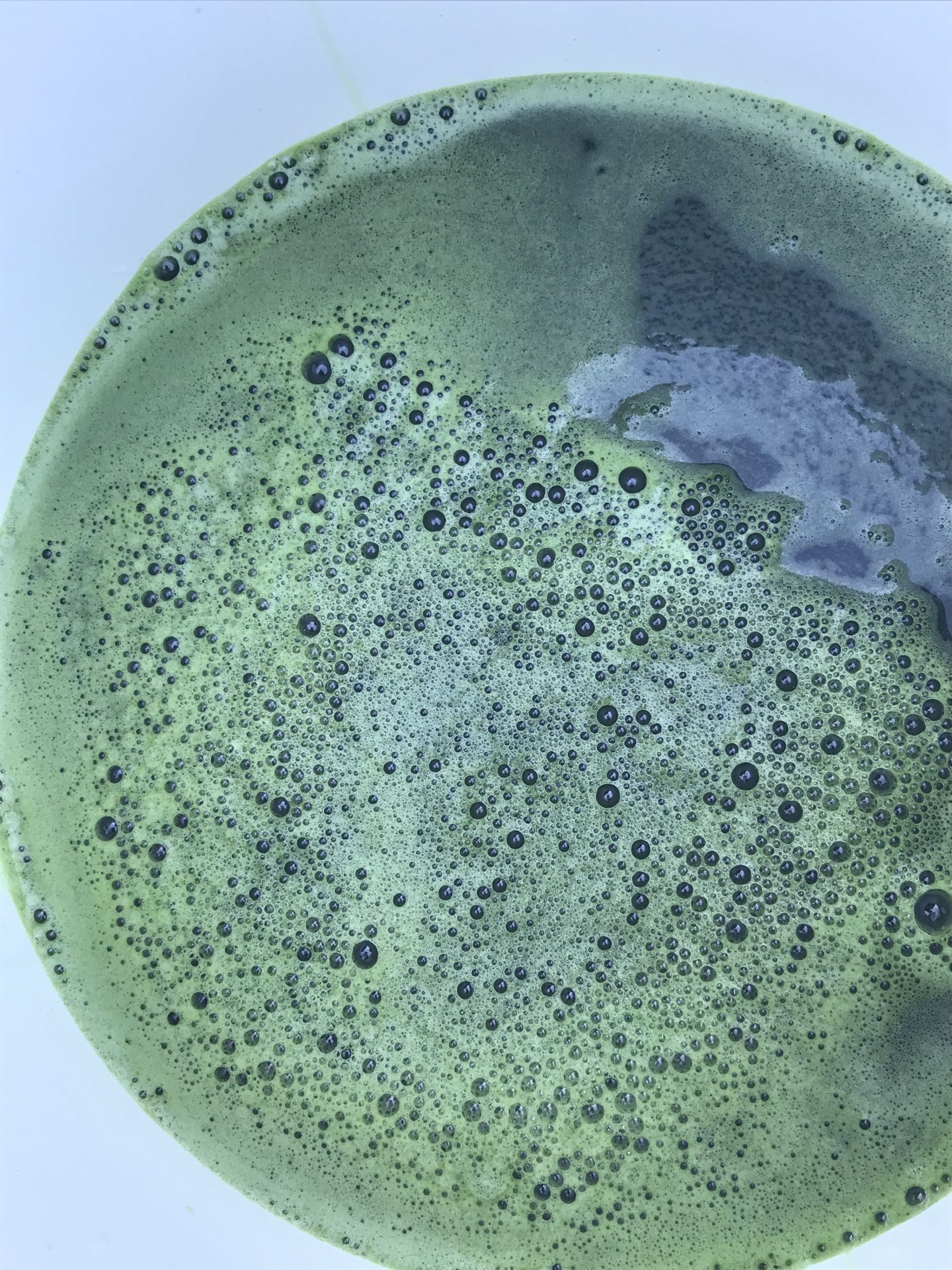 Homegrown Indigo Pigment Extraction • Lovely Greens