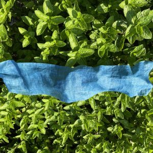 indigo dyed fabric on green leaves