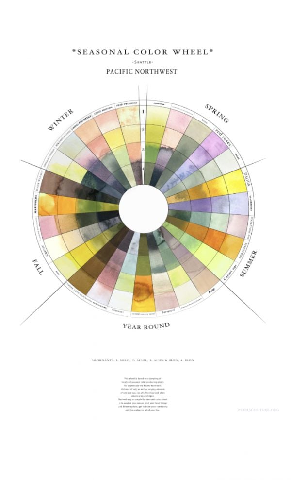 Seattle Color Wheel