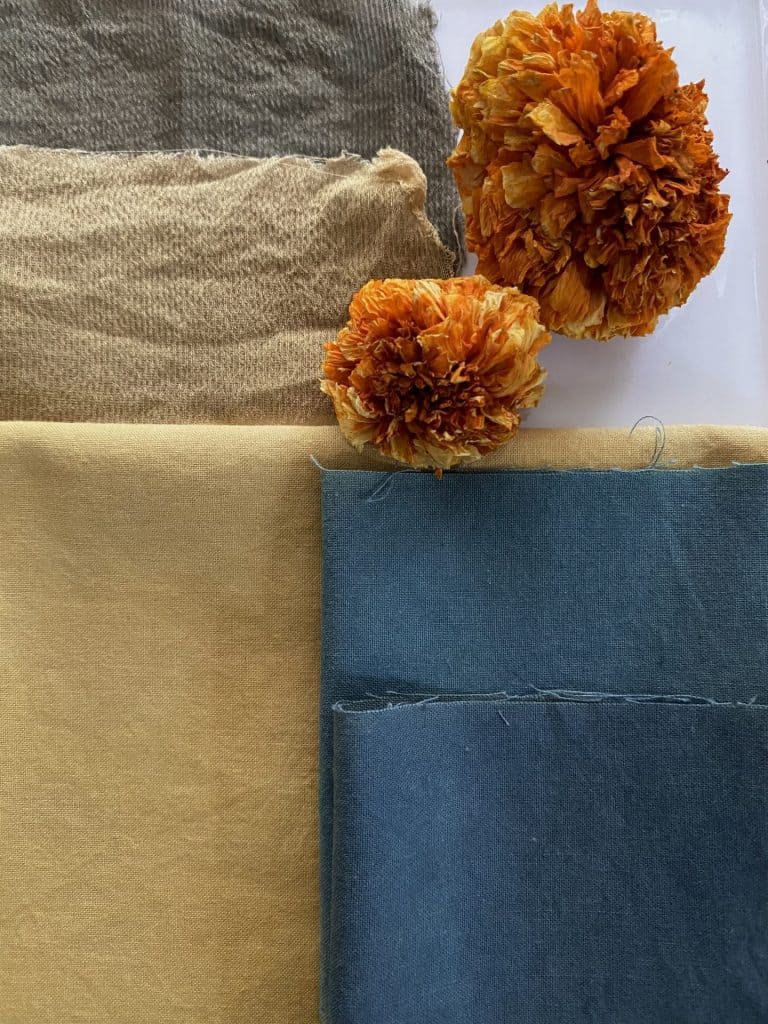 How To Dye With Marigold Flowers Botanical Colors