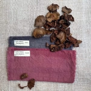 Pink and purple fabric and dyed mushrooms