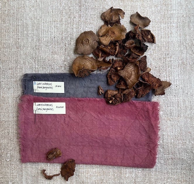 Pink and purple fabric and dyed mushrooms