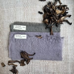 Purple dyed fabric with mushrooms