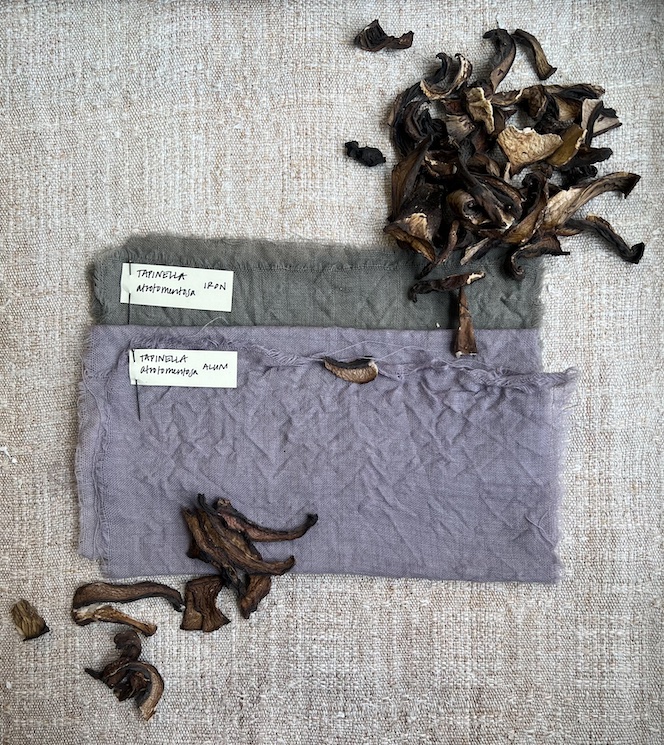 Purple dyed fabric with mushrooms