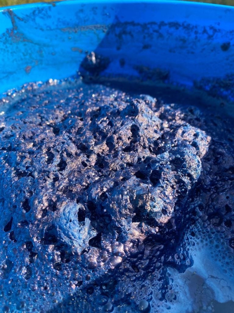 deep blue indigo foam on top of a vat