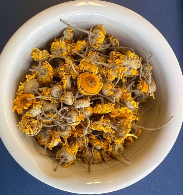 Dyer's Chamomile Dried Flowers