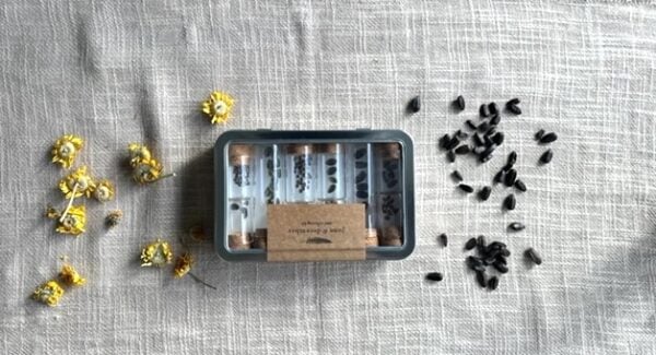 Seed Collecting Kit by June & December - Image 3