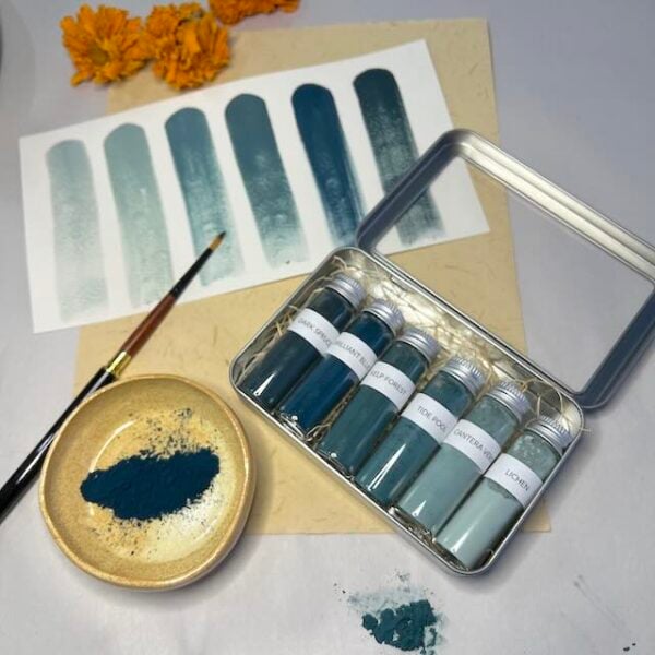 Shades of Maya Blue Paint Kit