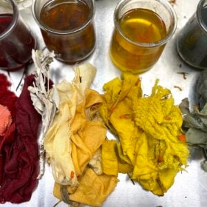 FALL COLOR SEASONAL DYE WORKSHOP WITH SASHA DUERR 