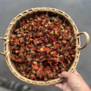 Organically Grown Sulfur Cosmos Flowers