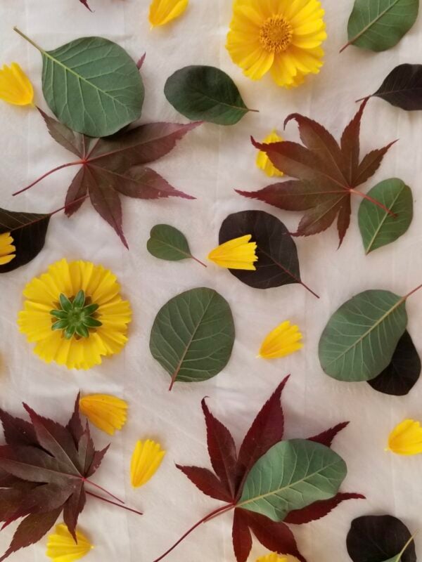 October 19th, 2025 - Eco-Printing Deep Dive with Monica Medeiros of Brico Press - Image 2