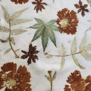Online Workshop Recording of Eco-Printing Deep Dive with Monica Medeiros