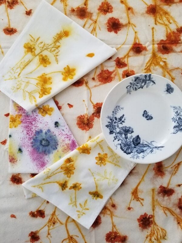 October 19th, 2025 - Eco-Printing Deep Dive with Monica Medeiros of Brico Press - Image 9