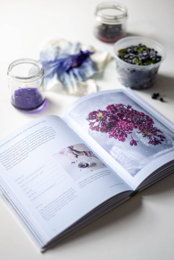 Plant to Pigment PRE - ORDER by Natalie Stopka - Image 2