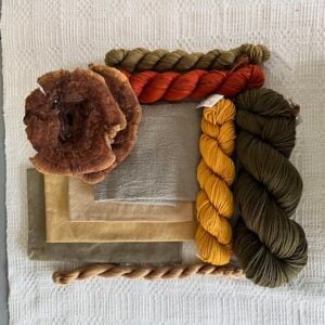 Dyer's Polypore Mushrooms