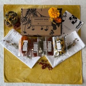 2025 Harvest Box: Dye Flower Sampler