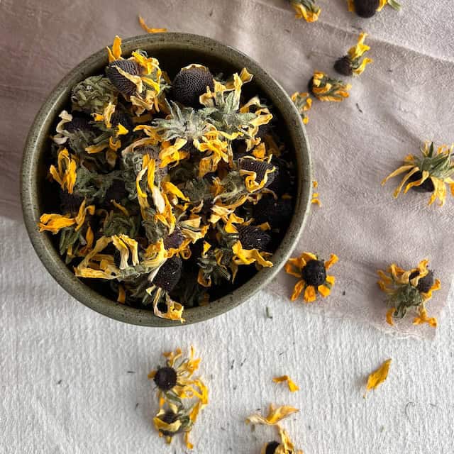 Specialty Raw Natural Dye Materials - Botanical Colors