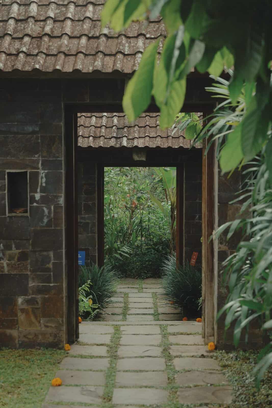 The garden path into the Threads of Life dye studio